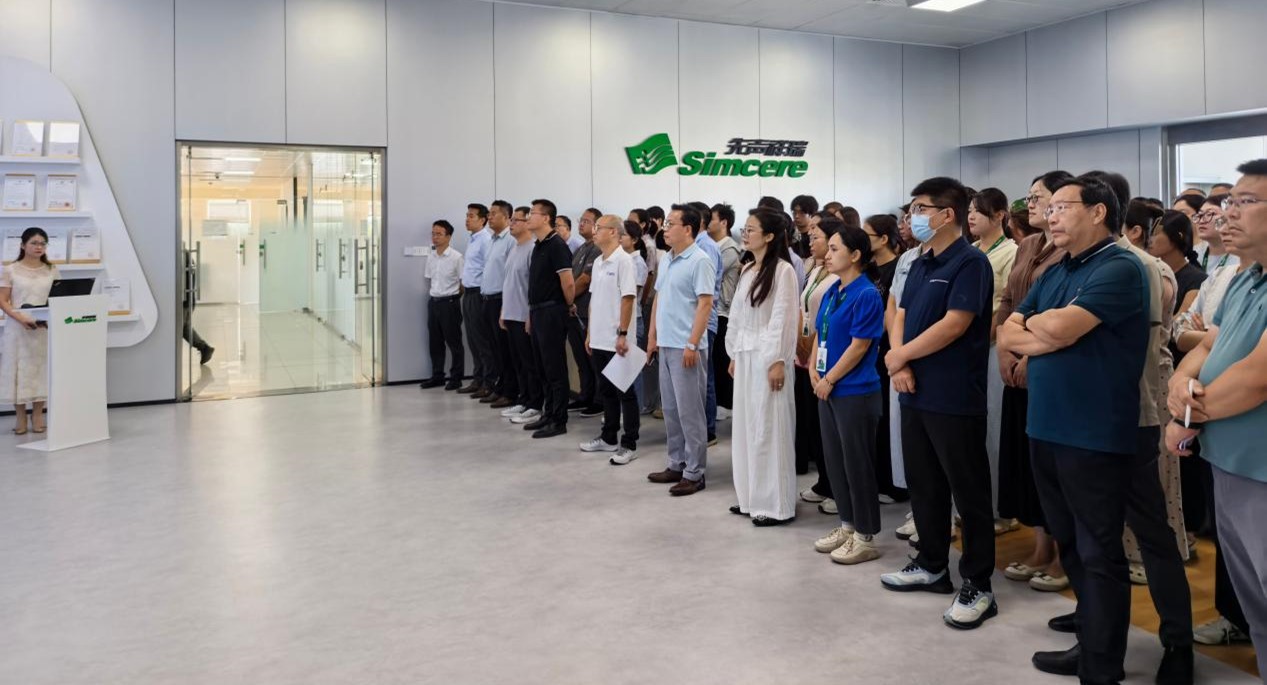 p3.jpg